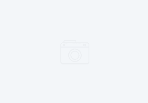 WordPress test